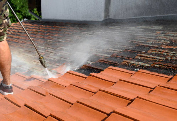Best Exterior Home Cleaning  in Clinton, AR