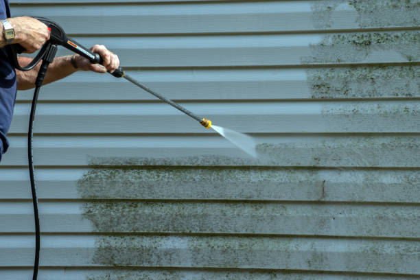 Best Exterior Home Cleaning  in Clinton, AR